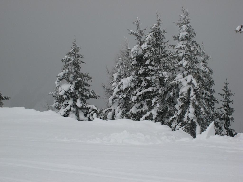 Schraberger - Top Alpin Amore Schladming Quarto foto